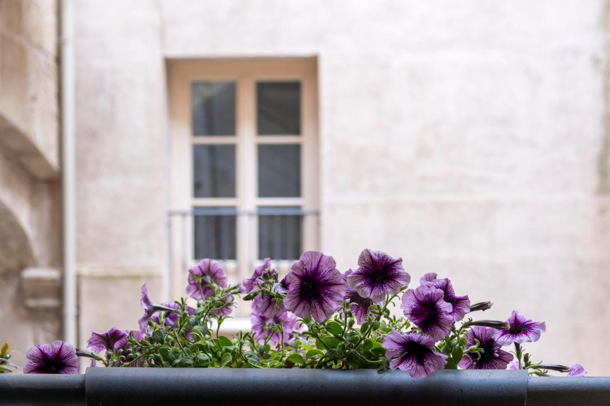 Tomasi Apartment Palermo Zewnętrze zdjęcie